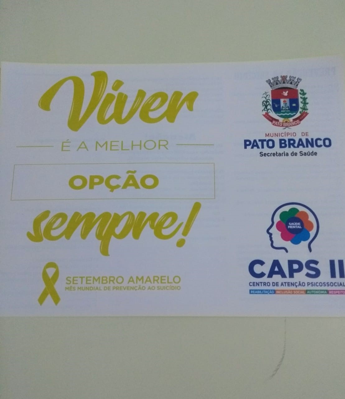 O CEEBJA de Pato Branco recebeu na noite de 25 de setembro de 2019, a Psicóloga Eliza Penachi, representando o CAPS II, Centro de Atenção Psicossocial desse município para ministrar uma palestra para alunos e professores.