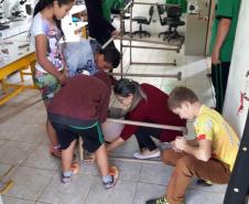 O projeto “Vem brincar comigo”, foi idealizado pela equipe diretiva do Colégio Estadual do Campo Cely Tereza Grezzana e planejado durante a semana pedagógica de fevereiro com professores e funcionários, após a análise da avaliação SAEP de matemática, onde percebemos a dificuldade dos alunos com medidas de área, ângulos e formas.
