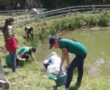 No dia 18 de dezembro de 2019, dia D, de combate ao mosquito Aedes Aegypti, o Núcleo Regional de Educação de Pato Branco realizou ações do Paraná contra a Dengue.