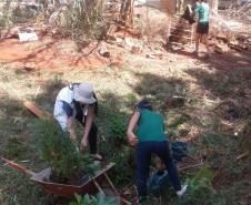  No dia 18 de dezembro de 2019, dia D, de combate ao mosquito Aedes Aegypti, o Núcleo Regional de Educação de Pato Branco realizou ações do Paraná contra a Dengue.
