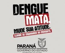 No dia 18 de dezembro de 2019, dia D, de combate ao mosquito Aedes Aegypti, o Núcleo Regional de Educação de Pato Branco realizou ações do Paraná contra a Dengue.