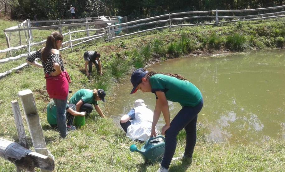 DIA D - DE COMBATE AO MOSQUITO AEDES AEGYPTI  NO NRE DE PATO BRANCO E INSTITUIÇÕES DE ENSINO No dia 18 de dezembro de 2019, dia D, de combate ao mosquito Aedes Aegypti, o Núcleo Regional de Educação de Pato Branco realizou ações do Paraná contra a Dengue.