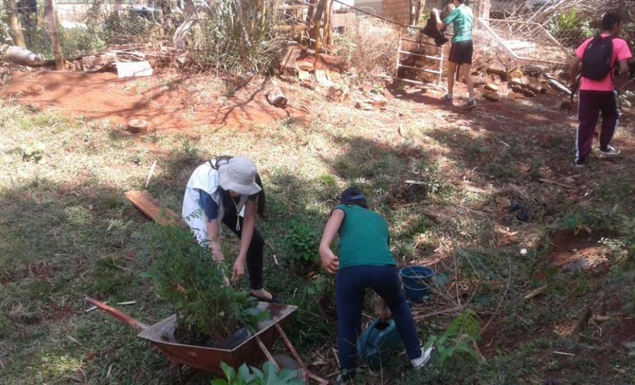 DIA D - DE COMBATE AO MOSQUITO AEDES AEGYPTI  NO NRE DE PATO BRANCO E INSTITUIÇÕES DE ENSINO No dia 18 de dezembro de 2019, dia D, de combate ao mosquito Aedes Aegypti, o Núcleo Regional de Educação de Pato Branco realizou ações do Paraná contra a Dengue.